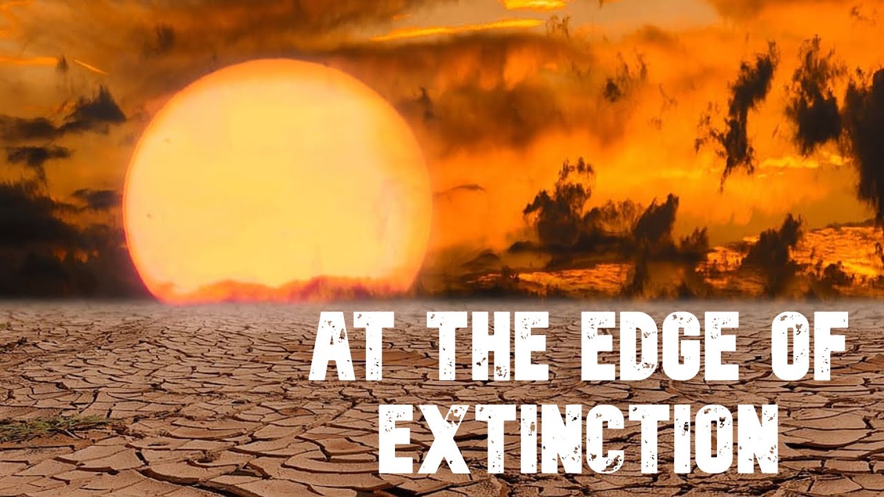 At the Edge of Extinction // Short Film #1