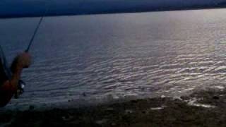 preview picture of video 'pesca de carpa de 4 kg en dique san roque club la calera'