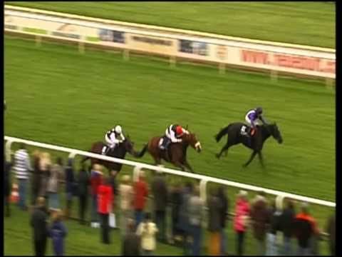 Hannover, Grosser Preis der Mehl-Mülhens Stiftung, 4.11.2012 - Siegerin: Scoville