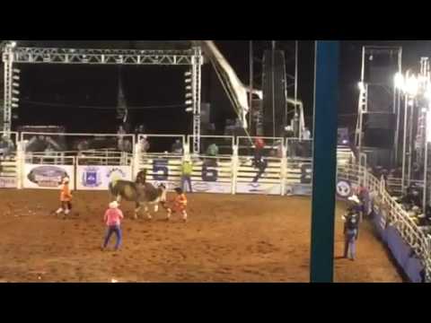 Rodeio de Rinópolis-SP - 2014