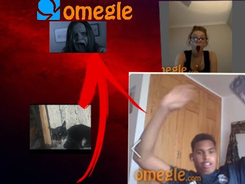 the cat is sweet Omegle JUMPSCARE PRANK