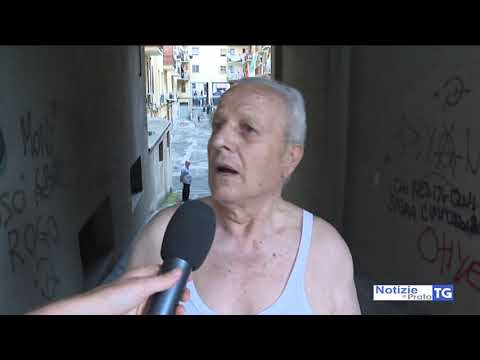 2019-06-22 PRATO - CAGNOLINO PRECIPITA DA BALCONE AL QUARTO PIANO