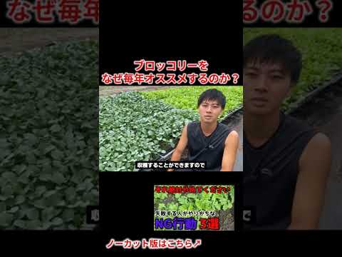 ブロッコリー 植物