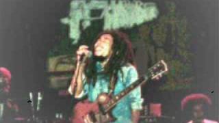 The Heathen Bob Marley & The Wailers Northrup Auditorium Minneapolis 1979