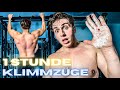 1 Stunde Klimmzüge bis Hände bluten! Sascha Huber Klimmzug Challenge