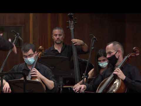 Andreas Makris: III. Sonority (Five Miniatures) - Makris Symphony Orchestra, Predrag Gosta