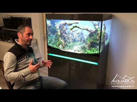 Watch Video on YouTube