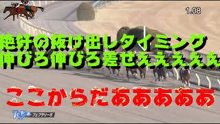 【競馬】新企画始動　『G1レース1万円1点勝負』　1戦目フェブラリーS