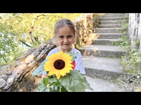 "Ci vuole un fiore" by Sergio Endrigo (versione Francesco Gabbani), cover by Filling the music