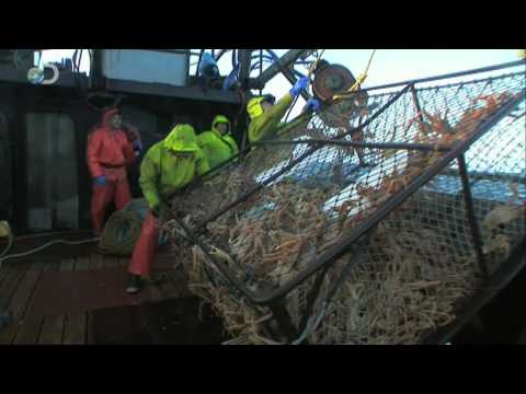 Deadliest Catch Season 5 - Rail Dumpers