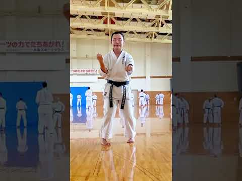 SANCHIN KATA GOJU RYU KARATE SEIWAKAI by Davy Wijaya Sensei