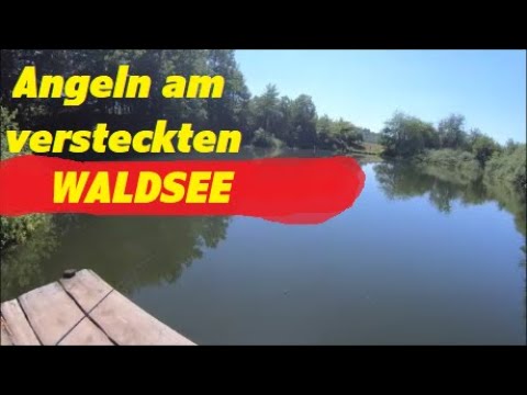 Angeln am versteckten Waldsee