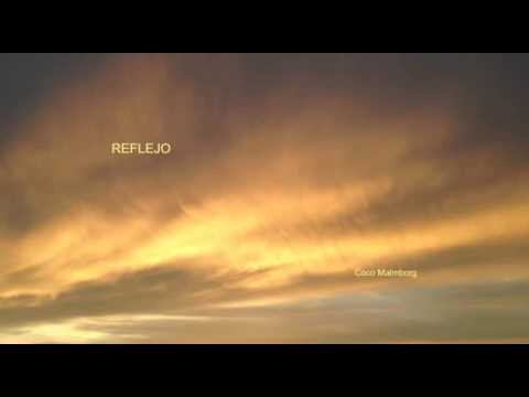 Coco Malmborg   Reflejo 2010