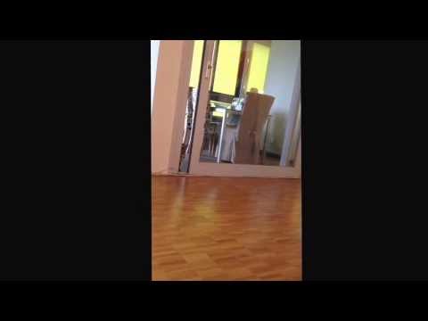 Naima conhece o gato.