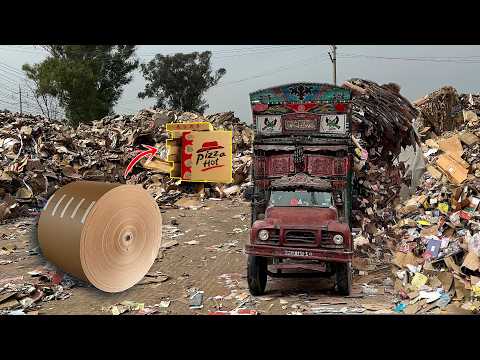 Amazing Process of Waste Cardboard Recycling to make Corrugated Pizza Boxes