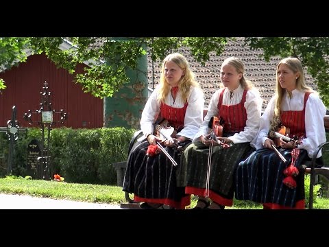 Delsbostämman 2015, Kyrkan,  Forngården