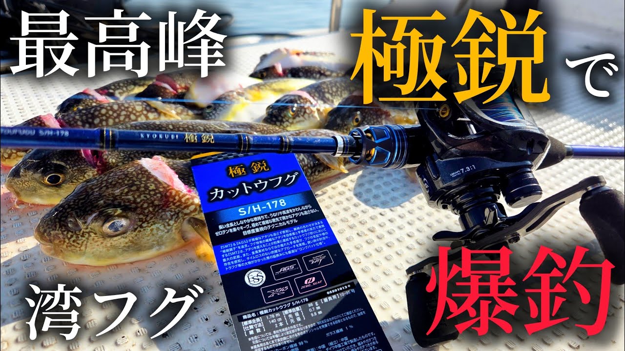 竿を変えただけで釣果が爆増し、良型ショウサイフグを釣り上げていく湾フグカットウ釣り。