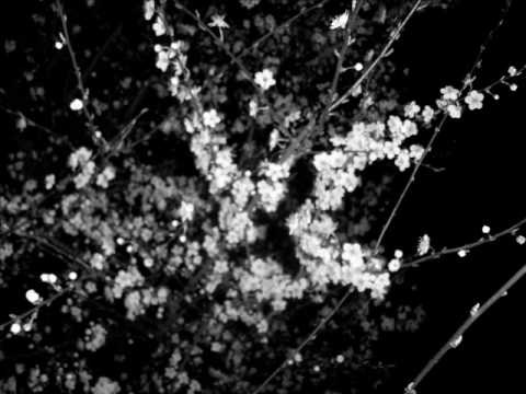 Пимін Гудмунсан Атокисацыя 2005 2006 2007 2008!