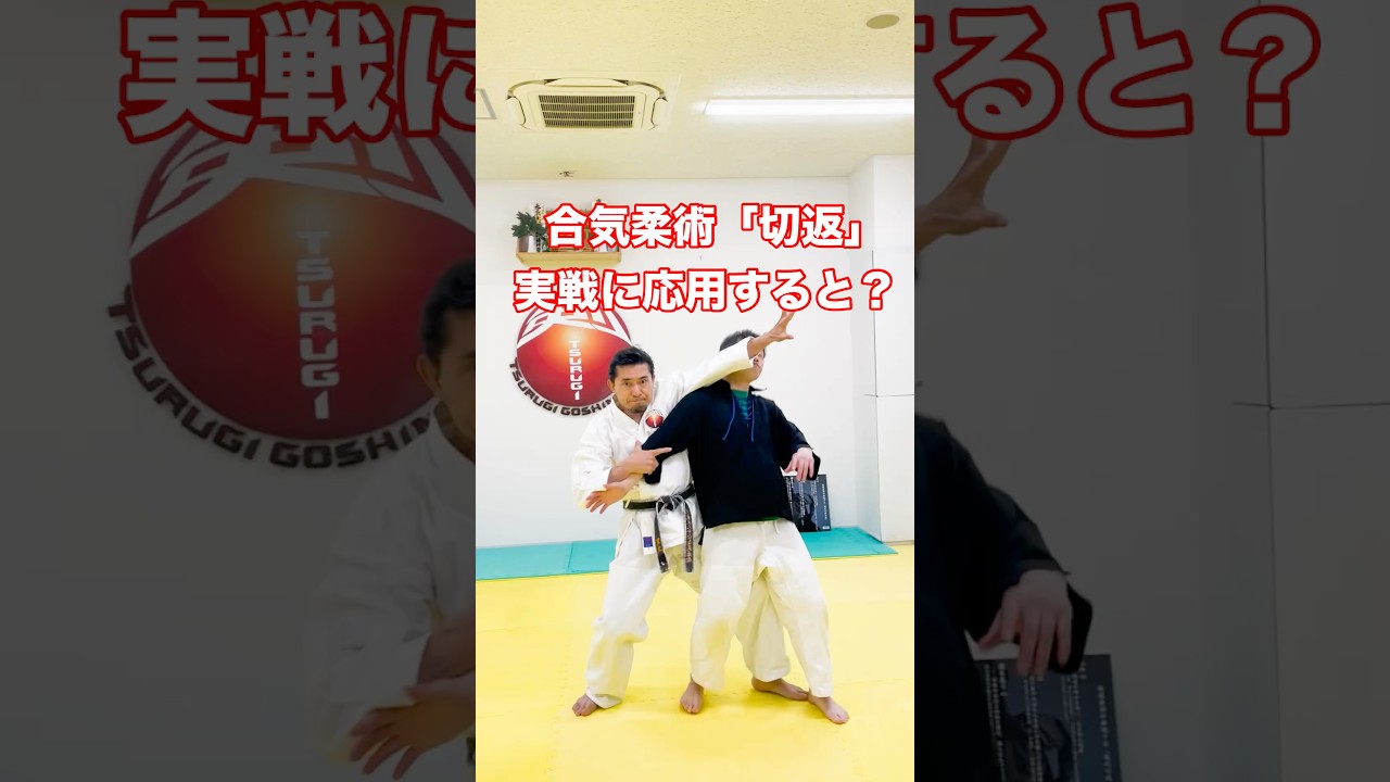 合気柔術「切返」を実戦技法に応用すると？　#剣護身術 #護身術 #shortvideo #合気柔術 #実戦動画 #shorts