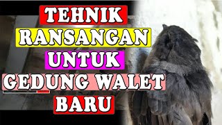 Download lagu CARA MEMANCING BURUNG WALET AGAR CEPAT MASUK KEDALAM RUMAH BURUNG WALET YANG MASIH BARU mp3