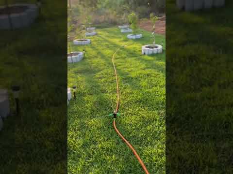 Pomar de frutas