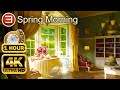 SPRING MORNING 4K 1 Hour Of Soothing Home Ambience Relaxing Music
