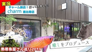 【チャーム恵比寿店】食虫植物水槽の存在感が圧巻ｗ物販ではない新しいお店だった