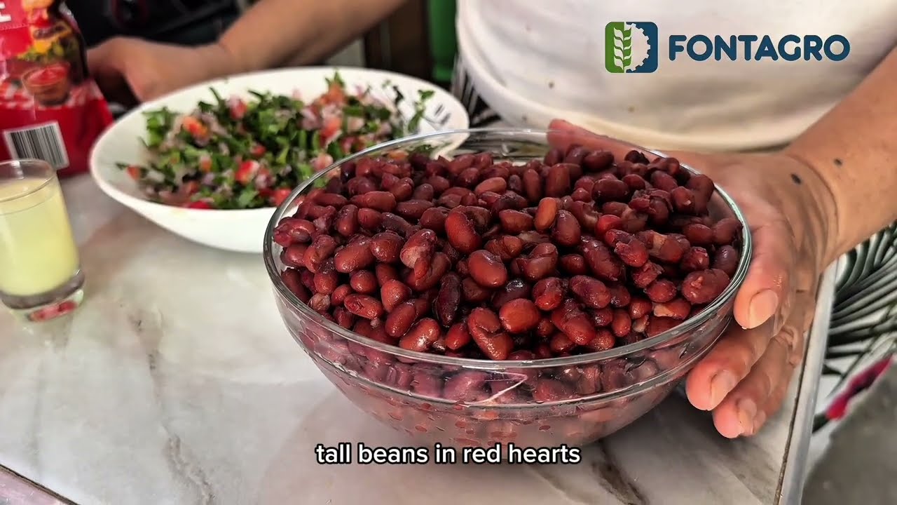 Alianzas regionales para la diseminación de frijol rico en hierro en ALC - Nutrición y Salud