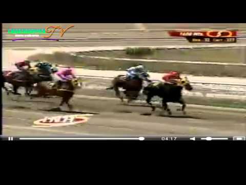 LA RINCONADA 5 CARRERA DOMINGO 27 DE ABRIL 2014