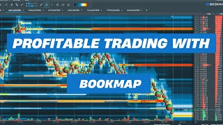 Profitable Trading With BookMap