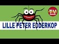 SANG - Lille peter edderkop