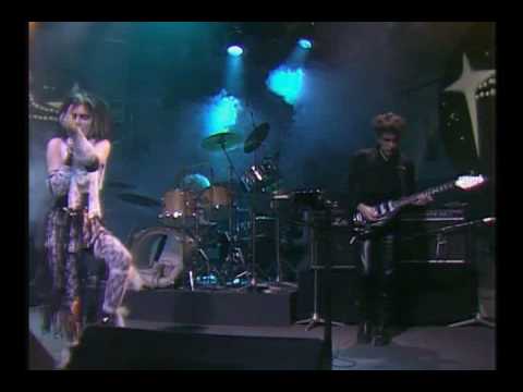 Siouxsie and the Banshees Painted Bird w/ Robert Smith