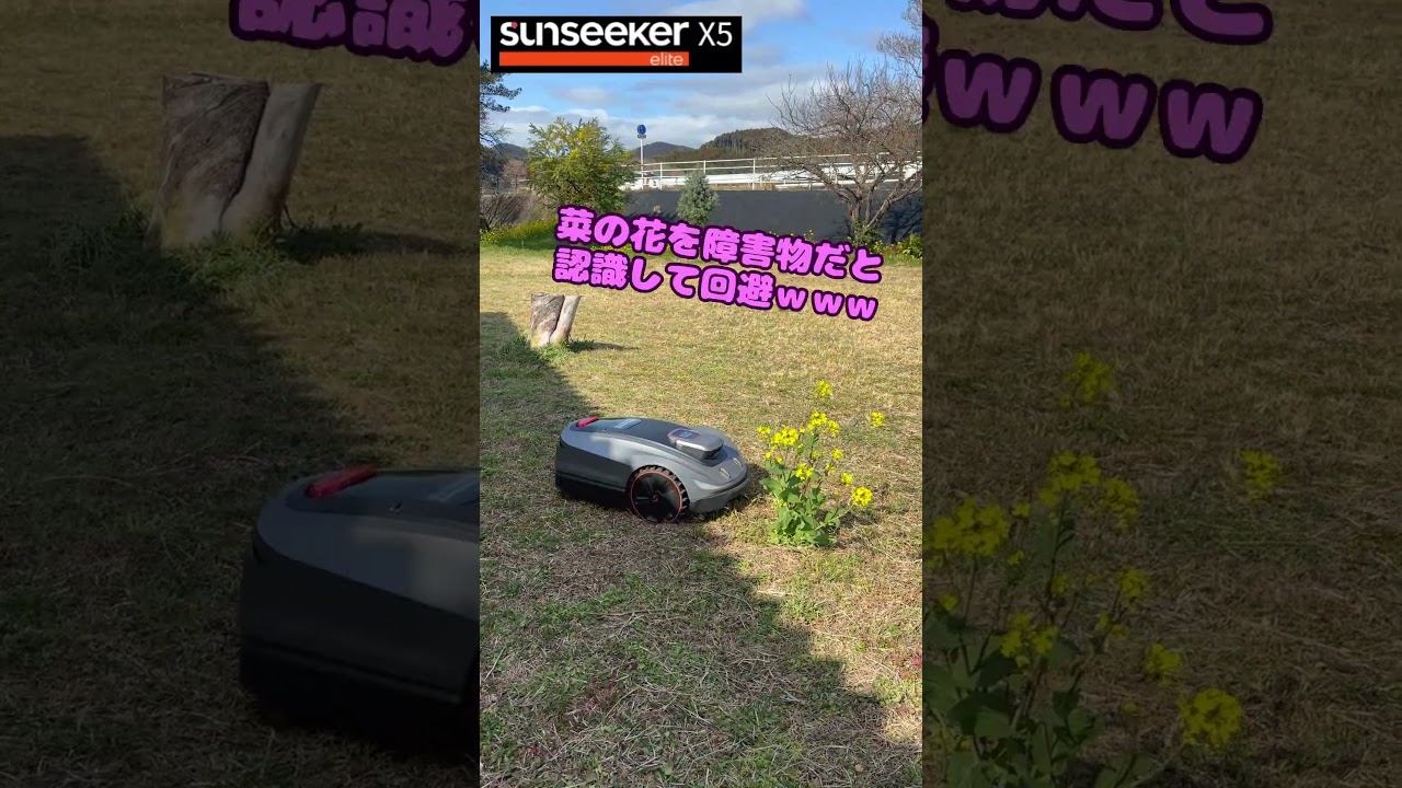 次世代型ロボット芝刈機SUNSEEKER実演中！