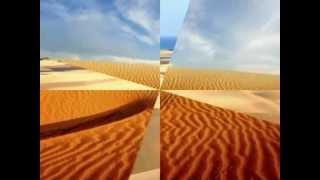 Dune Mosse - Zucchero.wmv