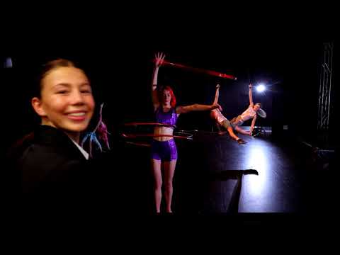 Flying Fruit Fly Circus