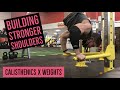 BUILDING BACK MY SHOULDER STRENGTH | NEW WORKOUT PROGRAM DAY 3 | FULL HYBRID SHOULDER WORKOUT