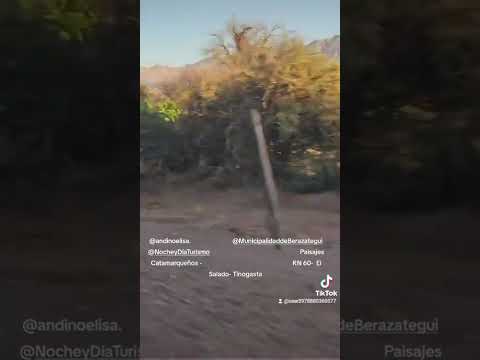 Paisajes Catamarqueños -RN 60- El Salado- Tinogasta#love#turismoargentina #paisajes #aventuras 
