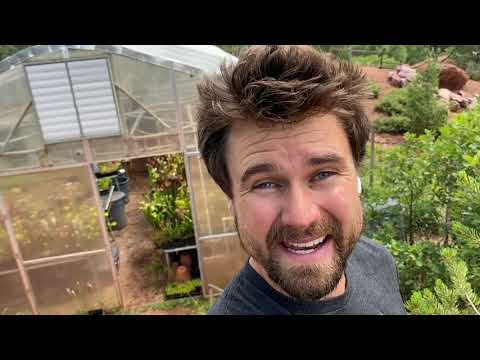 Carnivorous Plant Greenhouse #3 How it’s Set Up Part 1