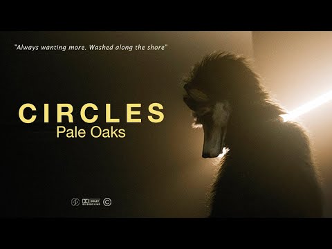 Pale Oaks - Circles (Official Music Video)