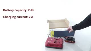 WORTEX Charger and Battery Set (2329017)