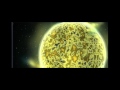 Deus Da Minha Vida Remix DJ Rafinha Flv