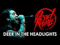 The Dead Rabbitts - "Deer In The Headlights ...