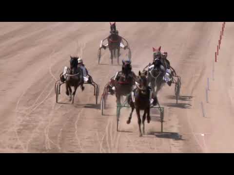 2022.05.21. 03. futam - SPEEDY BOY DÍJ