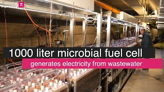 One of the largest microbial fuel cells in current use