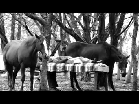 Herd to Heart: A Shamanic Journey with Horses