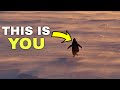 This Penguin Knew Something We Don T
