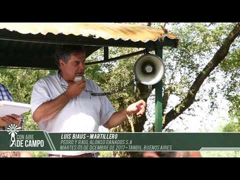 Luis Biaus - Pedro y Raúl Alonso Ganados S.A - Martes 5 de diciembre de 2017- Tandil