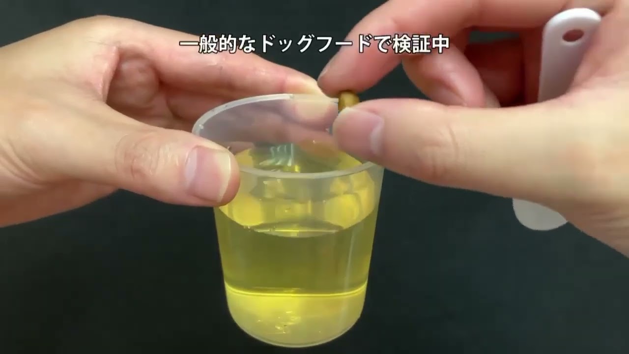MOGU premium動画