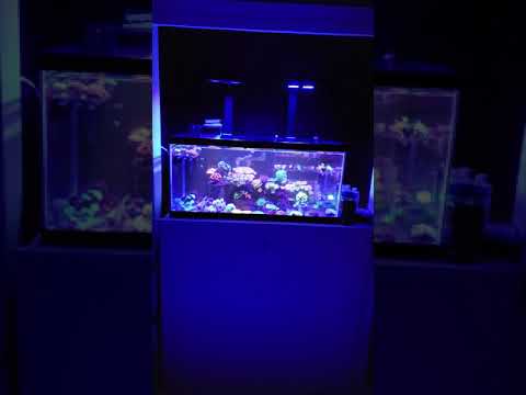 Hydra 32HD vs Hydra 26HD