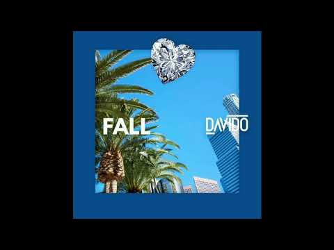 Davido - Fall (Instrumental)